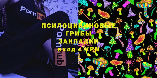 бошки Алексин
