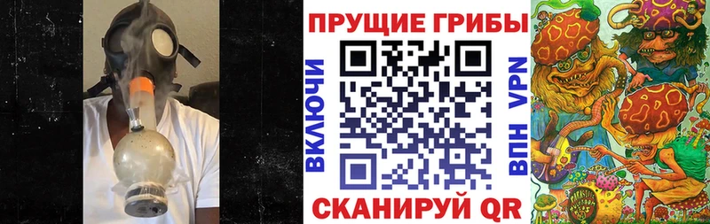 Псилоцибиновые грибы Cubensis  блэк спрут зеркало  Ковылкино 
